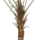 Artificial Garden WASHINGTONIA FILIFERA TREE 21107 Τεχνητό Διακοσμητικό Φοινικόδεντρου Υ200cm - 3