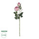 Artificial Garden PINK DAMASK CLIMBING ROSE BRANCH 21199 Τεχνητό Διακοσμητικό Κλαδί Τριαντάφυλλο Σαμπανιζέ Y55cm - 1