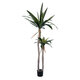 Artificial Garden AGAVE 20045 Τεχνητό Διακοσμητικό Φυτό Αγαύη Υ172cm - 2