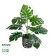 Artificial Garden MONSTERA 20893 Τεχνητό Διακοσμητικό Φυτό Μονστέρα Φ40 x Υ33cm - 1