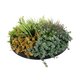 Artificial Garden VARIOUS PLANTS ROUND WALL DISC 20688 Τεχνητό Διακοσμητικό Στρογγυλό Πάνελ Φυλλωσιάς - Κάθετος Κήπος Μιξ Μ50 x Π50 x Υ23cm - 4