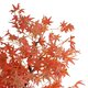 Artificial Garden MAPLE TREE 21105 Τεχνητό Διακοσμητικό Δέντρο Σφένδαμος Μ90 x Π90 x Υ210cm - 2