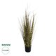 Artificial Garden ZEBRA GRASS 21482 Τεχνητό Διακοσμητικό Φυτό Ζέμπρα  Υ85cm