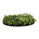 Artificial Garden VARIOUS PLANTS ROUND WALL DISC 20689 Τεχνητό Διακοσμητικό Στρογγυλό Πάνελ Φυλλωσιάς - Κάθετος Κήπος Μιξ Μ70 x Π70 x Υ15cm - 3