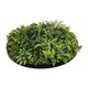 Artificial Garden VARIOUS PLANTS ROUND WALL DISC 20689 Τεχνητό Διακοσμητικό Στρογγυλό Πάνελ Φυλλωσιάς - Κάθετος Κήπος Μιξ Μ70 x Π70 x Υ15cm - 5