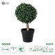 Artificial Garden BUXUS 20404 Τεχνητό Διακοσμητικό Φυτό Πυξός Υ35cm - 1
