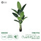 Artificial Garden STRELITZIA 20026 Τεχνητό Διακοσμητικό Φυτό  Στρελίτσια - Πουλί του Παραδείσου Υ180cm - 1