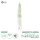Artificial Garden TILLANDSIA HANGING BRANCH 20236 Τεχνητό Διακοσμητικό Κρεμαστό Φυτό Ισπανικό Βρύο Τιλάντσια Υ120cm