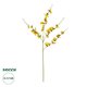 Artificial Garden YELLOW SPRING ORCHIDIUM BRANCH 21415 Τεχνητό Διακοσμητικό Κλαδί Κίτρινη Ορχιδέα Y76cm - 1