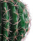 Artificial Garden FEROCACTUS 20091 Τεχνητό Διακοσμητικό Φυτό Φερόκακτος Υ36cm - 3