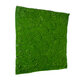 Artificial Garden BRYOPHYTA 20145 Τεχνητό Διακοσμητικό Πάνελ Φυλλωσιάς - Κάθετος Κήπος Βρύα Μ100 x Π100 x Υ3cm - 4