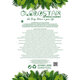 Artificial Garden HANGING EUCALYPTUS 20810 Τεχνητό Διακοσμητικό Κρεμαστό Φυτό Ευκάλυπτος Μ16 x Π9 x Υ105cm - 4