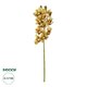 Artificial Garden CHAMPAGNE CYMBIDIUM BRANCH 21408 Τεχνητό Διακοσμητικό Κλαδί Σαμπανί Κυμβίδιο  Y75cm