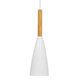 Μοντέρνο Κρεμαστό Φωτιστικό Οροφής Μονόφωτο Λευκό Μεταλλικό Καμπάνα Φ11  DILLON WHITE 00876 - 2