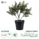 Artificial Garden LEMON CYPRESS 20389 Τεχνητό Διακοσμητικό Φυτό Λεμονόκυπάρισσο Υ30cm