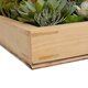 Artificial Garden VARIOUS PLANT 20642 Τεχνητό Διακοσμητικό Φυλλωσιάς σε Ξύλινο Πάνελ  - Κάθετος Κήπος Μιξ Μ60 x Π60 x Υ20cm - 7