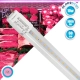 99331 Λάμπα Σωλήνας Τύπου Φθορίου T8 Linear 60cm LED SMD 2835 10W 1000 lm 320° AC 85-265V IP20 CRI ≥90 Ροζ Ειδική για Κρεοπωλείο