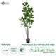 Artificial Garden POLYSCIAS BALFOURIANA TREE 20375 Τεχνητό Διακοσμητικό Φυτό Πολυσκιά Υ180cm