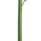 Artificial Garden BAMBOO BRANCH 20441 Τεχνητό Διακοσμητικό Κλαδί Μπαμπού Υ300cm - 4