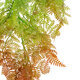 Artificial Garden HANGING FERN 20805 Τεχνητό Διακοσμητικό Κρεμαστό Φυτό Φτέρη Μ40 x Π20 x Υ88cm