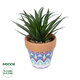 Artificial Garden SUCCULENT SANSEVIERIA POTTED PLANT 21047 Διακοσμητικό Φυτό Σανσεβιέρια  Φ16x Υ20cm - 1