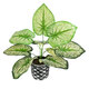 Artificial Garden CALADIUM 20889 Τεχνητό Διακοσμητικό Φυτό Τροπικό Φυτό Φ40 x Υ33cm - 2