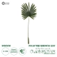 Artificial Garden SERENOA PALM LEAF 20173 Τεχνητό Διακοσμητικό Φύλο Φοινικόδεντρου Σερενόα Βεντάλια Π47 x Υ120cm