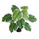 Artificial Garden WHITE HOSTA 20931 Διακοσμητικό Φυτό Λευκή  Χόστα Υ55cm - 2