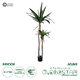 Artificial Garden AGAVE 20045 Τεχνητό Διακοσμητικό Φυτό Αγαύη Υ172cm