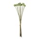 Artificial Garden PALE GREEN DANDELION BOUQET 21362 Τεχνητό Διακοσμητικό Ταραξάκο Μπουκέτο Y54cm - 2