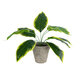 Artificial Garden YELLOW HOSTA 20899 Τεχνητό Διακοσμητικό Φυτό Κίτρινη Χόστα Υ40cm - 2