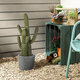 Artificial Garden CARNEGIEA CACTUS 20100 Τεχνητό Διακοσμητικό Φυτό Κάκτος Σαγκουάρο Υ63cm - 6