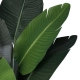 Artificial Garden STRELITZIA 20025 Τεχνητό Διακοσμητικό Φυτό  Στρελίτσια - Πουλί του Παραδείσου Υ120cm - 3
