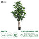 Artificial Garden FORTUNE GUIANA TREE 20056 Τεχνητό Διακοσμητικό Φυτό Καστανιά του Μαλαμπάρ Υ160cm - 1