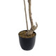 Artificial Garden GREEN NANDINA PLANT 20965 Διακοσμητικό Φυτό Πράσινη Ναντίνα Φ66 x Υ150cm - 5