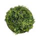Artificial Garden VARIOUS PLANTS ROUND WALL DISC 20689 Τεχνητό Διακοσμητικό Στρογγυλό Πάνελ Φυλλωσιάς - Κάθετος Κήπος Μιξ Μ70 x Π70 x Υ15cm - 2