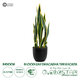 Artificial Garden BLOODLEAF DRACAENA TRIFASCIATA 20060 Τεχνητό Διακοσμητικό Φυτό Αιματόφυλλη Σανσεβιέρια Υ70cm