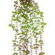 Artificial Garden HANGING EUCALYPTUS 20810 Τεχνητό Διακοσμητικό Κρεμαστό Φυτό Ευκάλυπτος Μ16 x Π9 x Υ105cm
