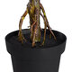 Artificial Garden OLIVE TREE 20052 Τεχνητό Διακοσμητικό Φυτό Ελιά Υ105cm - 4