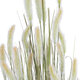 Artificial Garden BEIGE LAGURUS 21102 Διακοσμητικό Φυτό Μπεζ Λαγοουρά Υ140cm - 3
