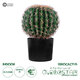 Artificial Garden FEROCACTUS 20091 Τεχνητό Διακοσμητικό Φυτό Φερόκακτος Υ36cm - 1