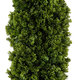 Artificial Garden BUXUS 20157 Τεχνητό Διακοσμητικό Φυτό Πυξός Υ180cm