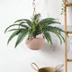 Artificial Garden FERN 20058 Τεχνητό Διακοσμητικό Φυτό Φτέρη Υ40cm - 4