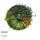 Artificial Garden VARIOUS PLANTS ROUND WALL DISC 20688 Τεχνητό Διακοσμητικό Στρογγυλό Πάνελ Φυλλωσιάς - Κάθετος Κήπος Μιξ Μ50 x Π50 x Υ23cm
