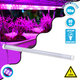 85961 Linear Grow Light Full Spectrum LED Γραμμικό Φωτιστικό Ανάπτυξης Φυτών Θερμοκηπίου 60cm SMD 2835 40W 160° AC230V IP54 Εσωτερικού Χώρου για Κάλυψη Επιφάνειας 0.6m x 0.6m Πλήρους Φάσματος Φωτισμού