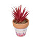 Artificial Garden AIR PLANT NEOPHYTUM POTTED PLANT 21042 Διακοσμητικό Φυτό Νεόφυτο Φ12 x Υ15cm - 2