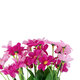 78206 Τεχνητό Φυτό Μπουκέτο Διακοσμητικών Λουλουδιών με 7 Φούξια Μαργαρίτες M20 x Υ35 x Π20cm - 3