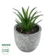 Artificial Garden SUCCULENT ALOE 21030 Διακοσμητικό Φυτό Παχύφυτο Αλόη Υ10cm