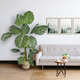 Artificial Garden MONSTERA 20007 Τεχνητό Διακοσμητικό Φυτό Μονστέρα Υ160cm - 5
