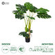 Artificial Garden MONSTERA 20004 Τεχνητό Διακοσμητικό Φυτό Μονστέρα Υ140cm - 1
